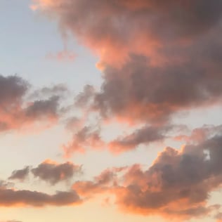 What is Microsoft 365 and how can it help my business?</p>
<p>Photo by Jill Burrow